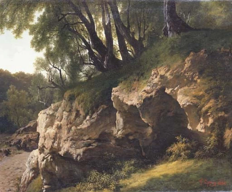 Rocce nella foresta